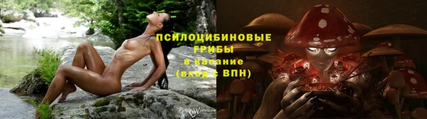 стаф Осинники
