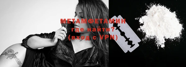 стаф Осинники