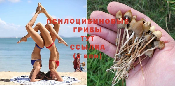 таблы Аркадак