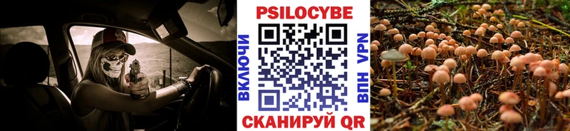 Галлюциногенные грибы мицелий  где найти   Полярные Зори 